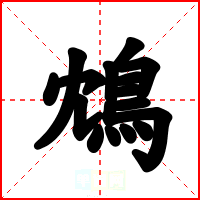 鴆