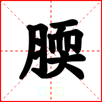 腝