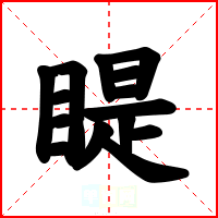 睼