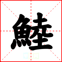 鯥