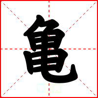 亀