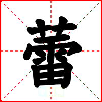 蕾