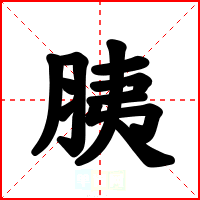 胰