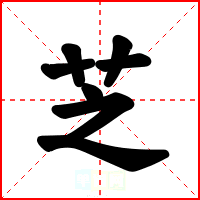 芝