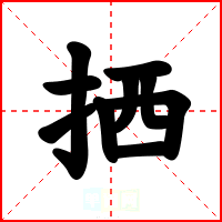 拪