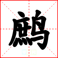 鹧