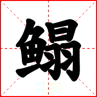 鳎