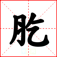 肐