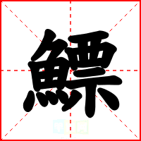 鰾