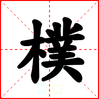 樸