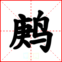 鹒