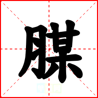 腜