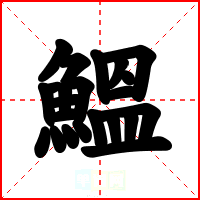鰮