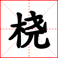 桡