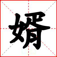 婿
