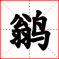 鹟