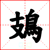 鳷