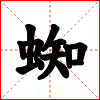 蜘