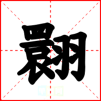 翾