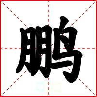 鹏