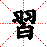 習