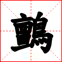 鸇
