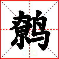 鹩