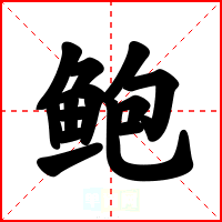 鲍