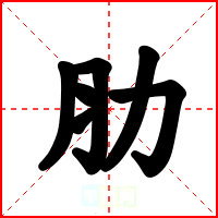 肋