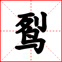 䴕