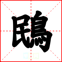 鴖