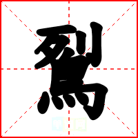 鴷