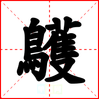 鸌