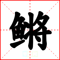 鳉