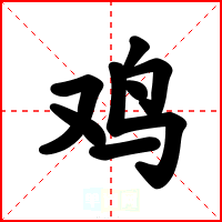 鸡