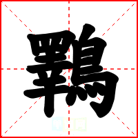 鸅