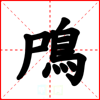 鳲