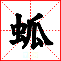 蛌