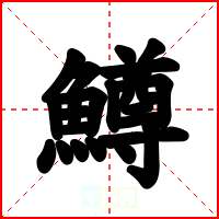 鱒