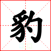 豹