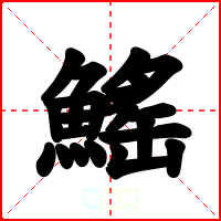 鰩