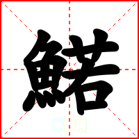 鰙
