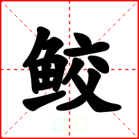 鲛