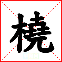 橈