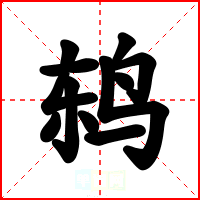 鸫