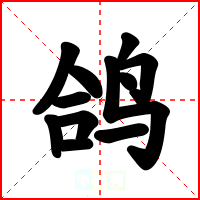 鸽