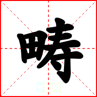 畴