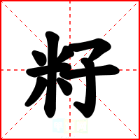 籽