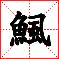 鯴