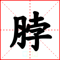 脖